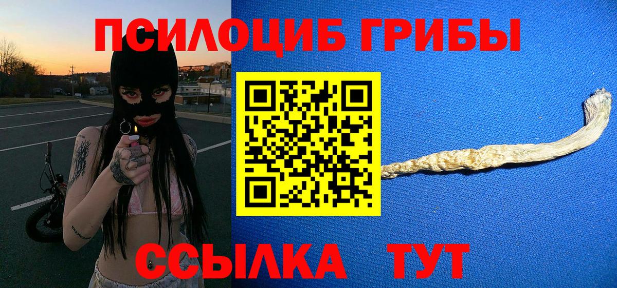 Галлюциногенные грибы GOLDEN TEACHER  Вход с VPN  Домодедово 