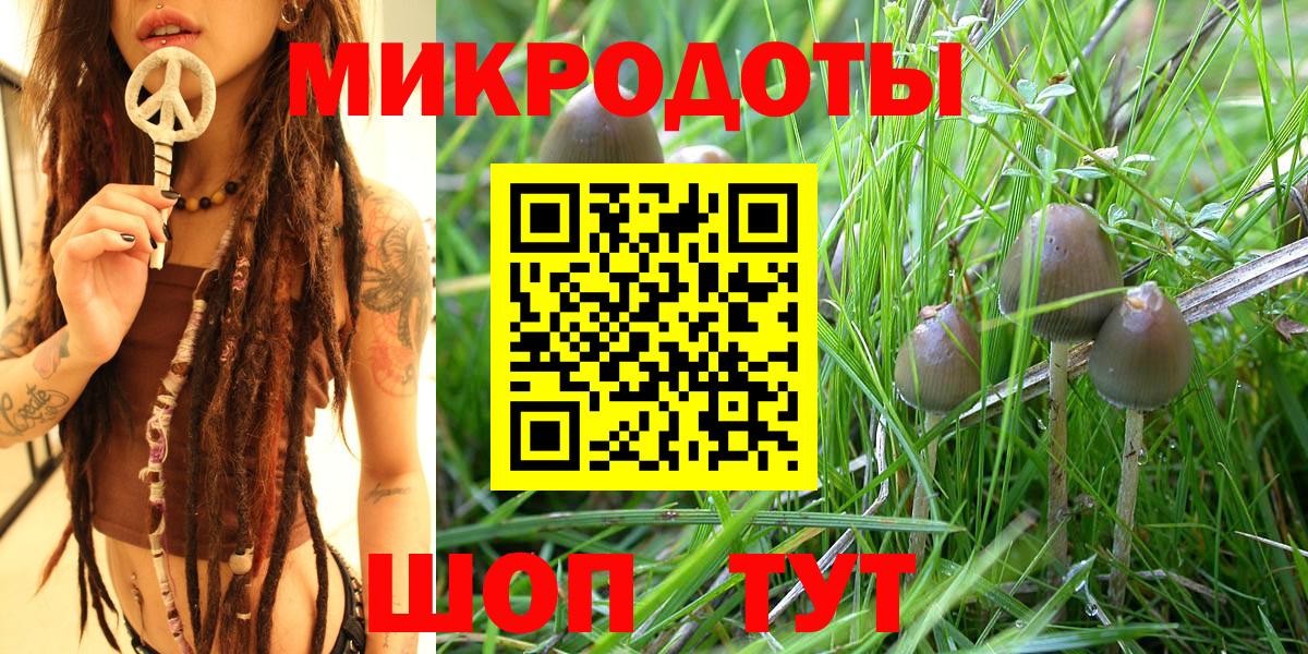 Псилоцибиновые грибы GOLDEN TEACHER Домодедово